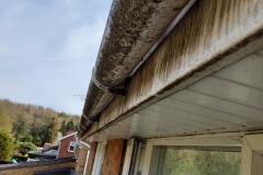 Gutter and fascia cleaning